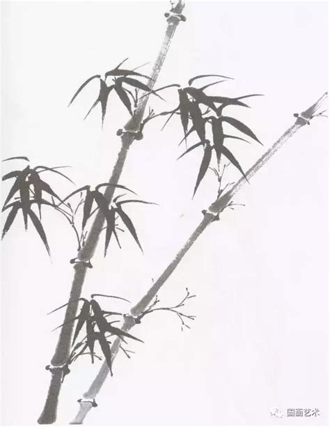 單人床風水 竹子 畫法